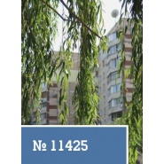 Симферополь, 3-к квартира 64,70 кв.м 8/9 эт.